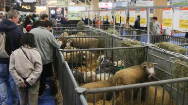 Ce qu'il faut retenir du premier jour de la 61ᵉ édition du Salon de l'Agriculture.