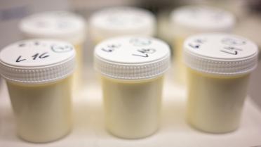 Qu'est-ce que la ricine, cette substance contre laquelle la France vient de trouver un remède ?