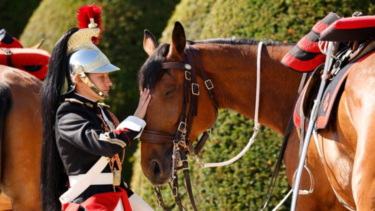 cheval garde républicaine