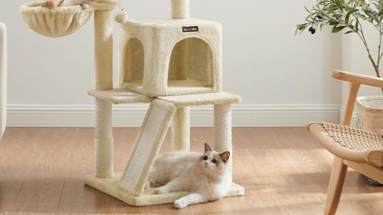 arbre à chat Feandrea