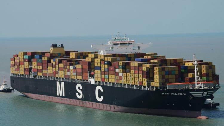 msc porte-conteneurs