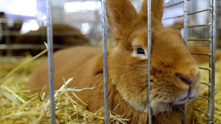 Jacques DEMARTHON / AFP