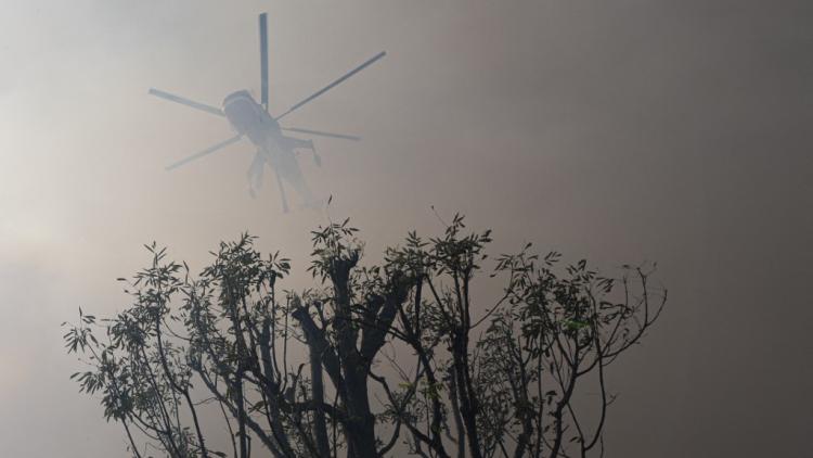 Les incendies ont ravagé des quartiers entiers de Los Angeles ces derniers jours. (Illustration)
