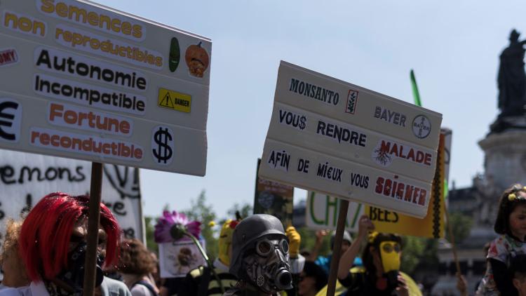 Manifestation ogm 1280