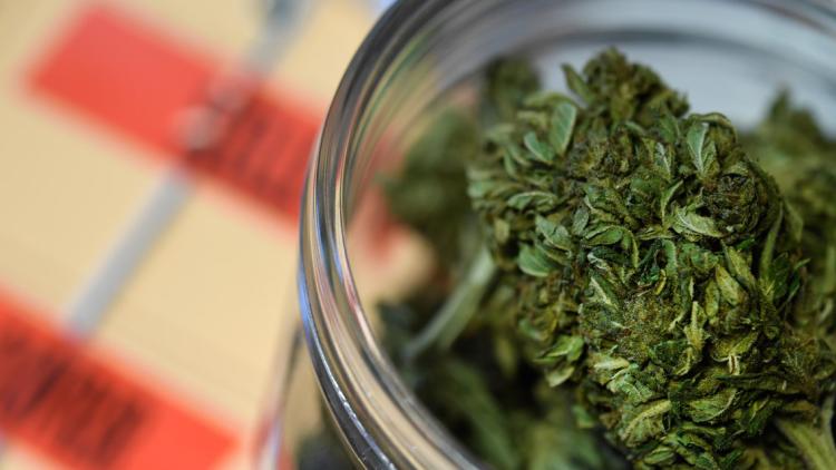 cannabis illustration crédit : FRED TANNEAU / AFP - 1280