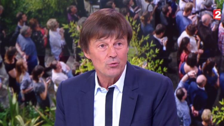 Nicolas Hulot a confirmé que le gouvernement comptait fermer la centrale de Fessenheim. Capture d'écran France 2