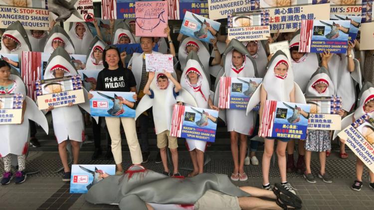 requins manifestation ailerons hong kong 1280 x 640 Capture d'écran Facebook @WildAidHK