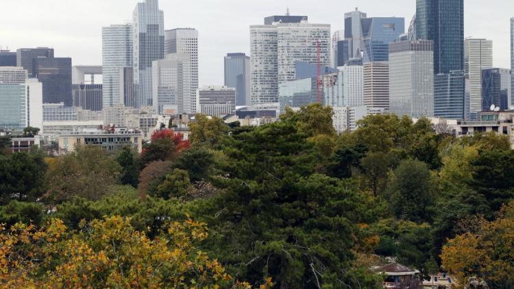 Bois de boulogne 1280