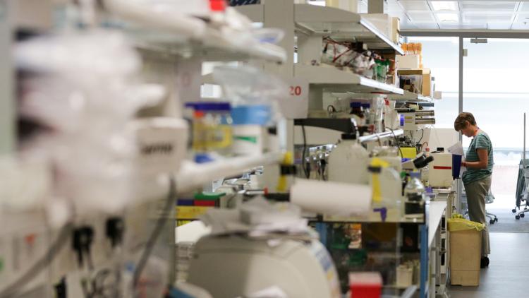 laboratoire crédit : DANIEL LEAL-OLIVAS / AFP - 1280
