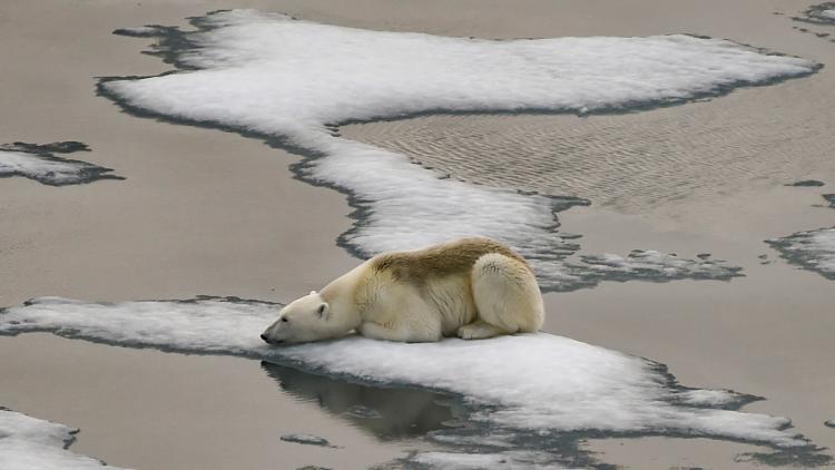 Le pic de la banquise de l'Arctique au plus bas jamais mesuré par les satellites