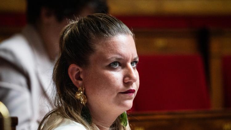 Motion de rejet contre la loi Duplomb : LFI annonce le dépôt d'une motion de censure