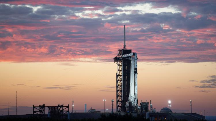 Rupture Donald Trump / Elon Musk : c’est quoi le vaisseau Dragon, que Musk a menacé de mettre hors service ?