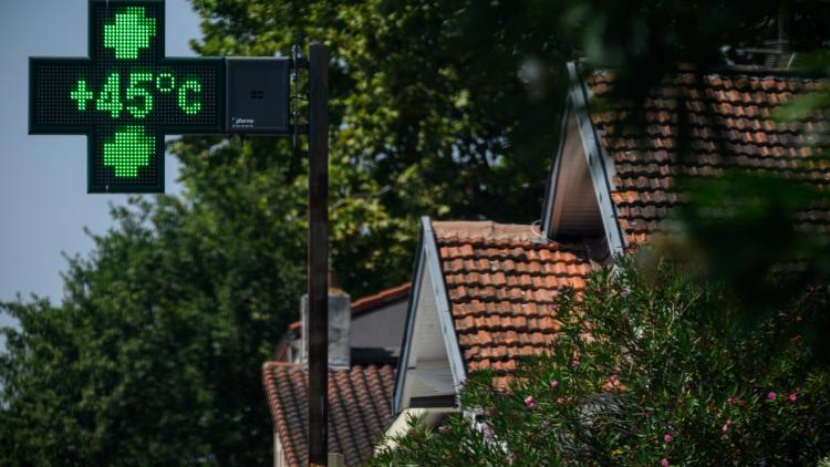Toulouse : les feuilles mortes se ramassent à la pelle, particulièrement cette année, avec la canicule