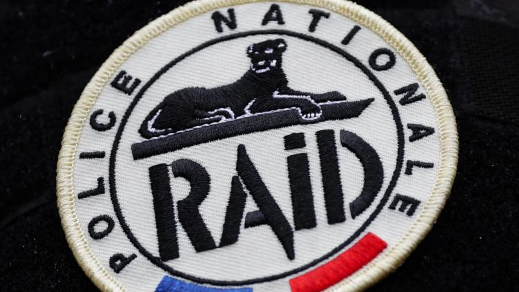 Raid (Illustration)
