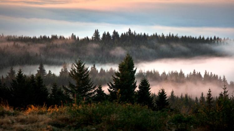 «Ils règnent par la menace et la terreur» : le plateau de Millevaches, terrain d'entraînement de l'ultra-gauche