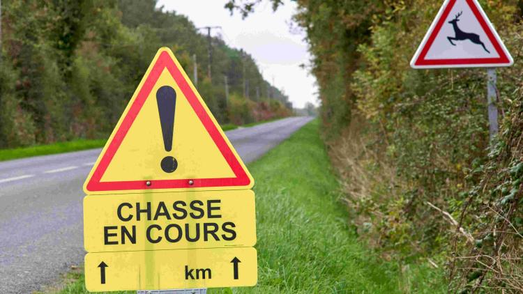 «Ils sont décomplexés» : dans l'Oise, la fédération de chasse publié un guide pour bien réagir face aux anti-chasse